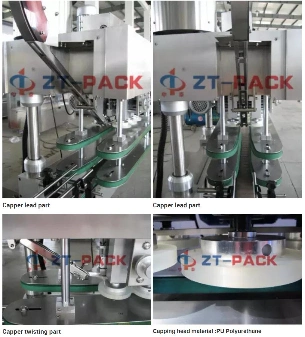 Manufactured in Changzhou Semi Automatic Screwing Type Sealer for Irregular Lids